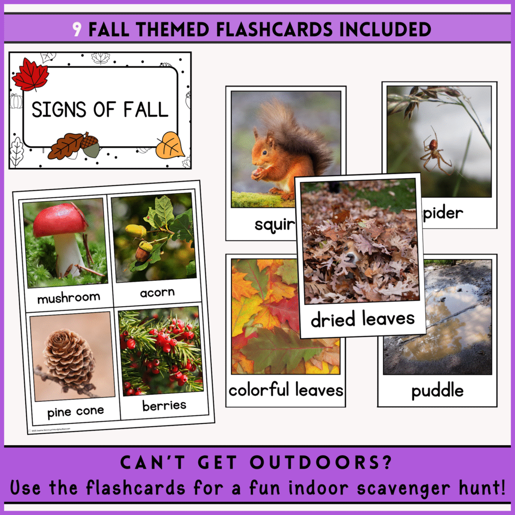 Flashcards with real photos of autumn items for an indoor fall scavenger hunt in the classroom.