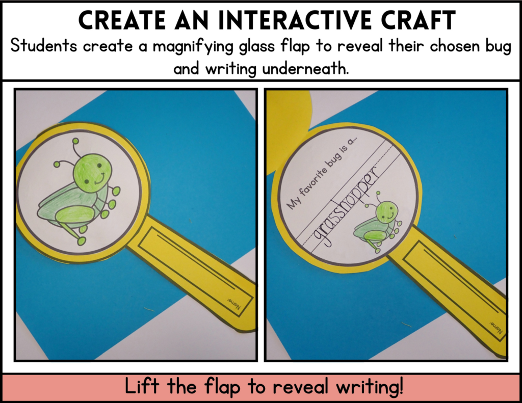 Create an Interactive bug themed magnify glass craft. Color in the bug on the front, lift the flap to reveal the My favorite bug is... prompt underneath