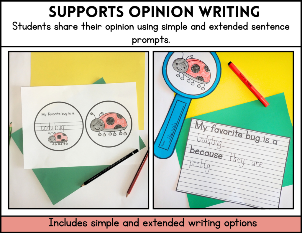 My Favorite bug is... opinion writing bulletin board craft