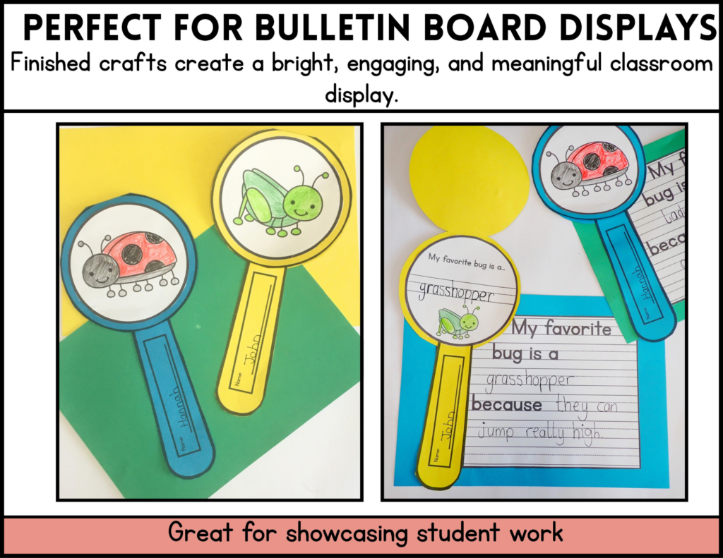 bug bulletin board display writing and craft activity